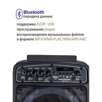 Акустическая система National NSM-V150, 80Вт, MP3/WMA/FLAC/WAV/APE/AAC, цвет чёрный