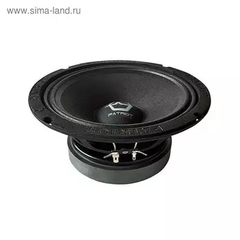 Акустическая система URAL AS-PT200 Patriot Midbass, 20 см, 400 Вт