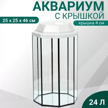 Аквариум "Восьмигранный" с крышкой, 24 литра, 25 х 25 х 45/50 см, беленый дуб