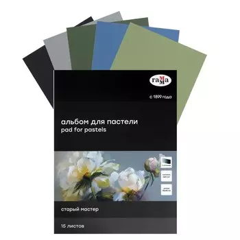 Альбом для пастели А3, 300 х 400 мм, Гамма "Старый мастер", 15 листов, склейка, 160 г/м² , холодные тона 5 цветов, фактура