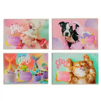 Альбом для рисования А4, 20 листов на гребне «MIX - Девочки», обложка мелованный картон, блок 100 г/м2, МИКС