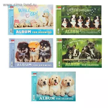 Альбом для рисования А4 24 листа "Меня зовут Гав", на гребне, перфорация, МИКС (5 видов)