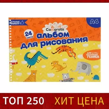 Альбом для рисования А4, 24 листа на гребне Calligrata, обложка мелованный картон, блок 100 г/м