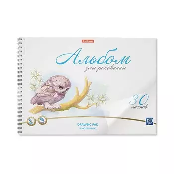 Альбом для рисования А4, 30 листов, блок 120 г/м, на спирали, Erich Krause "Birds", пластиковая обложка, 100% белизна, твердая подложка