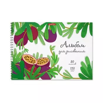 Альбом для рисования А4, 30 листов на спирали, ErichKrause Juicy Fruits, блок 120 г/м, 100% белизна, перфорация для отрыва, твёрдая подложка