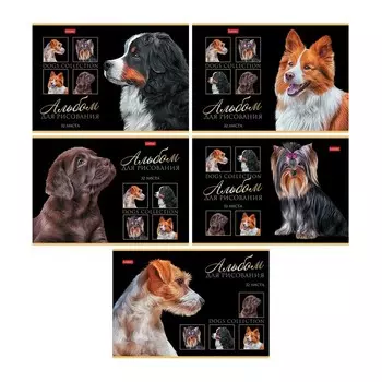 Альбом для рисования А4, 32 листа, на скрепке, "Портрет лучшего друга!", обложка мелованный картон, выборочный лак, блок 100 г/м, МИКС