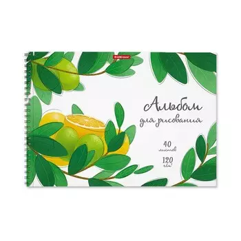 Альбом для рисования А4, 40 листов на спирали, ErichKrause Juicy Fruits, плотность 120 г/м2, микроперфорация для отрыва