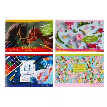 Альбом для рисования А4, 48 листов на гребне "Девочки", обложка мелованный картон, блок 100 г/м2, МИКС