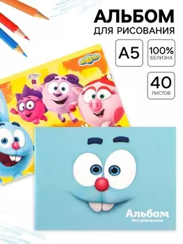 Альбом для рисования А5, 40 листов на скрепке, МИКС, «Смешарики», 2 шт.