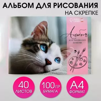 Альбом для рисования 40 листов А4 на скрепке «Котёнок» обложка 160 г/м, бумага 100 г/м.