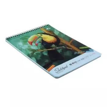 Альбом для смешанных техник, А4, 30 листов, на гребне, "Тукан", обложка мелованный картон, матовая ламинация, жёсткая подложка, блок голубой офсет 150 г/м²