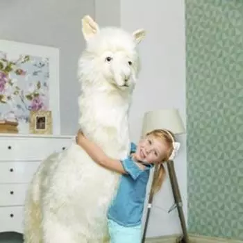 Альпака, 165 см