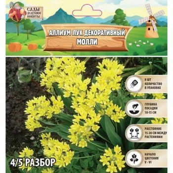 Аллиум лук декоративный Молли, многолетник, луковица, р-р 4/5, 8 шт.