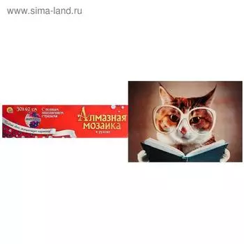 Алмазная мозаика 30×40 см, классическая, полное заполнение, б/ подрамника, «Кот с книгой»