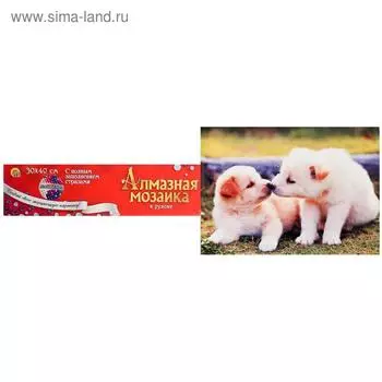 Алмазная мозаика 30×40 см, классическая, полное заполнение, б/ подрамника, «Милые щенятки»