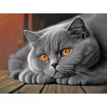 Алмазная мозаика «Британец», 30 40 см, на подрамнике