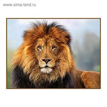 Алмазная мозаика «Царь зверей», 18 цветов