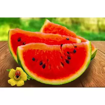 Алмазная мозаика «Дольки арбуза» 20 30 см