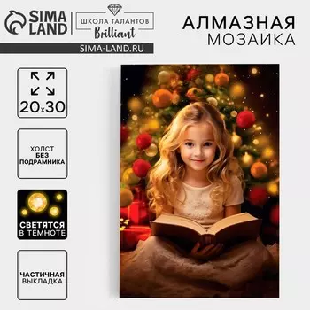 Алмазная мозаика на новый год с частичным заполнением со светящимися стразами на холсте «Волшебная ночь», 2030 см