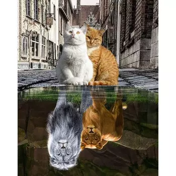 Алмазная мозаика «Отражение души» 40 50 см