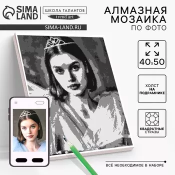Алмазная мозаика по фото с полным заполнением «Gray», на холсте с подрамником, 40 50 см