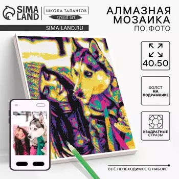 Алмазная мозаика по фото с полным заполнением «Pop Art», на холсте с подрамником, 40 50 см