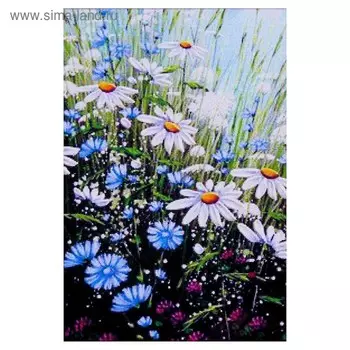 Алмазная мозаика «Ромашковое настроение» 20 × 29 см, 25 цветов