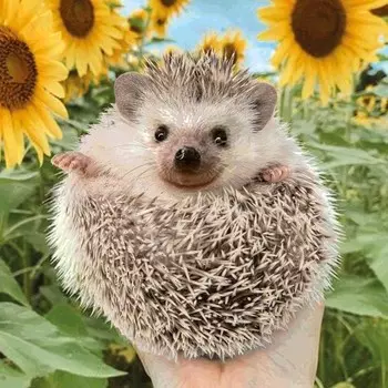 Алмазная мозаика с частичным заполнением «Ёжик» 20х20 см, на подрамнике