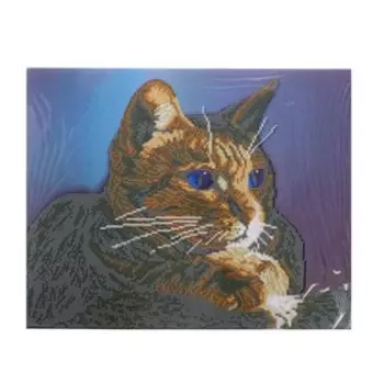 Алмазная мозаика с частичным заполнением «Котик» 40х50 см, на подрамнике