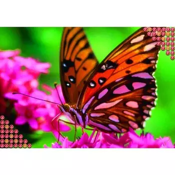 Алмазная мозаика с полным заполнением на холсте «Бабочка», 22 х 32 см