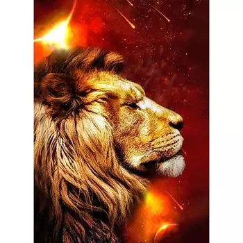 Алмазная мозаика «Сила огня», 30 40 см