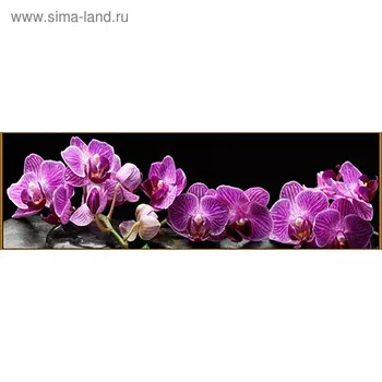 Алмазная мозаика «Тропическая орхидея», 33 цвета