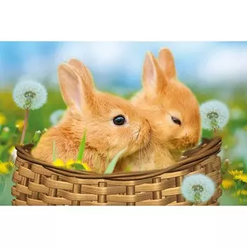 Алмазная мозаика «Зайки в одуванчиках» 30 40 см, частичная выкладка