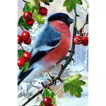 Алмазная мозаика «Зимняя птичка», 20 30 см
