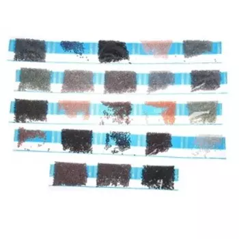 Алмазная вышивка с частичным заполнением «Дружелюбный хаски» 40х50 см, холст, ёмкость