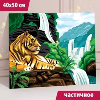 Алмазная вышивка с частичным заполнением "Тигр у водопада" 40*50 см, холст, емкость