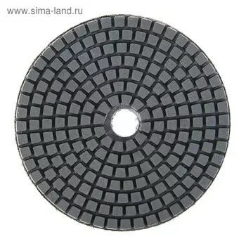 Алмазный гибкий шлифовальный круг ТУНДРА "Черепашка", для мокрой шлифовки, 100 мм, № 10000