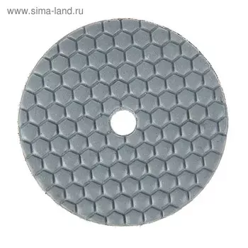 Алмазный гибкий шлифовальный круг ТУНДРА "Черепашка", для сухой шлифовки, 100 мм, № 10000