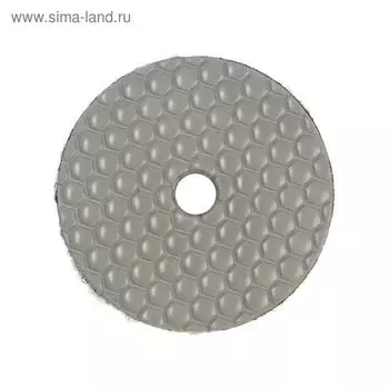 Алмазный гибкий шлифовальный круг ТУНДРА "Черепашка", для сухой шлифовки, 100 мм, № 3000