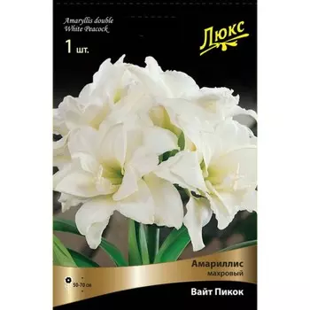 Амарилис Махровый "Вайт Пикок", 1 шт, р-р 24/26, Весна 2023