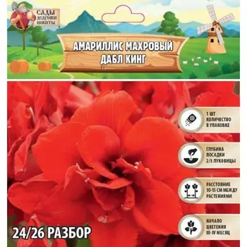 Амариллис Махровый Double King, многолетник, луковица, р-р 24/26, 1 шт.