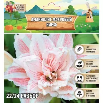Амариллис Махровый Nymph, многолетник, луковица, р-р 22/24, 1 шт.