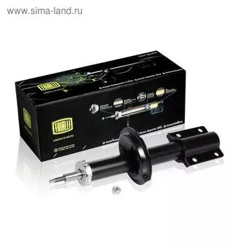 Амортизатор (стойка) передний для автомобиля Fiat Ducato (94-) 5208S9, TRIALLI AH 16051