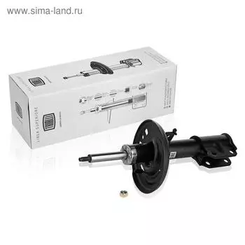Амортизатор (стойка) передний для автомобиля Renault Fluence (10-) 543023826R, TRIALLI AG 09063