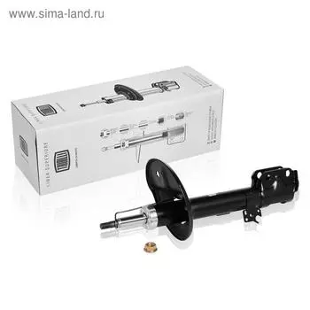 Амортизатор (стойка) передний левый для автомобиля Toyota Rav4 (00-) S2905200, TRIALLI AG 19158