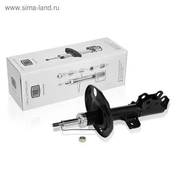 Амортизатор (стойка) передний левый для автомобиля Toyota Rav4 (06-) 48520-80071, TRIALLI AG 19160