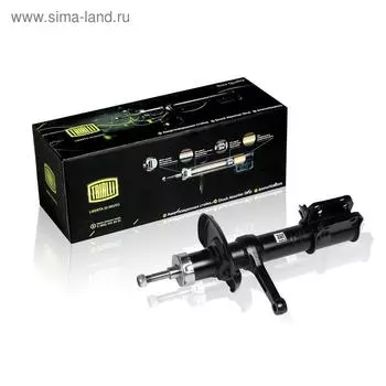 Амортизатор (стойка) передний правый для автомобиля ВАЗ 2170 Priora 2170-2905002, TRIALLI AH 01360
