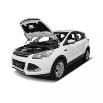 Амортизаторы капота "АвтоУПОР", Ford Kuga 2012-2016, 2 шт., UFDKUG012