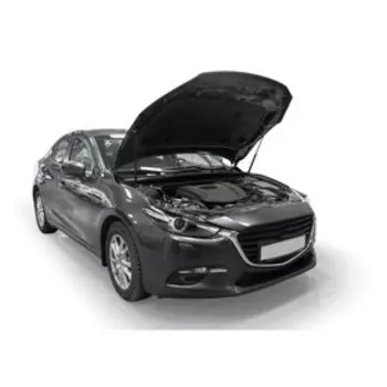 Амортизаторы капота RIVAL, Mazda 6, Mazda 3 2012-н.в., 2 шт., A.ST.3802.1