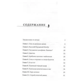 Ань, чего молчишь? Неосторожные шаги юности. Махлина А. Н.